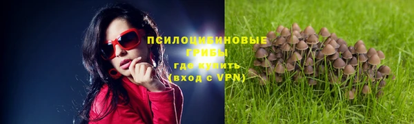 мяу мяу мука Беломорск