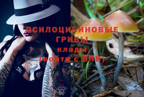 меф Белокуриха